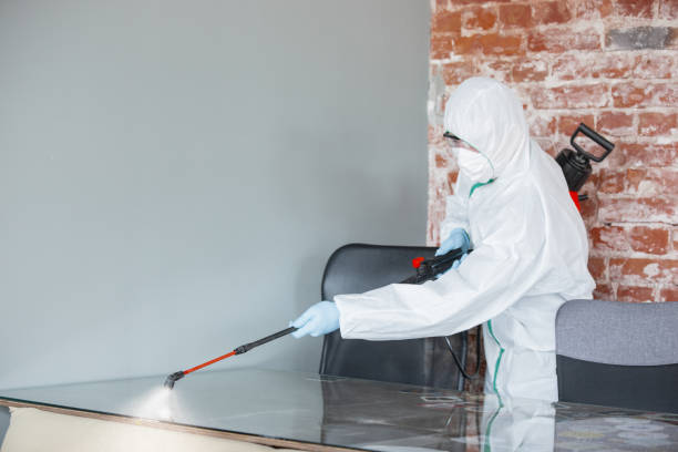 Reliable South Lockport, NY Mold Removal Solutions